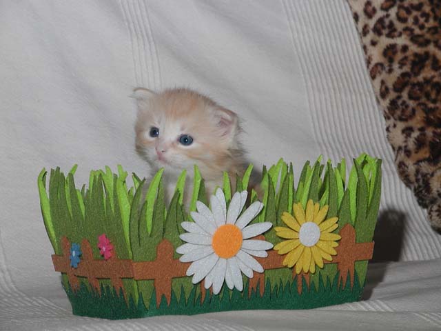 Nico am 10.03.2013