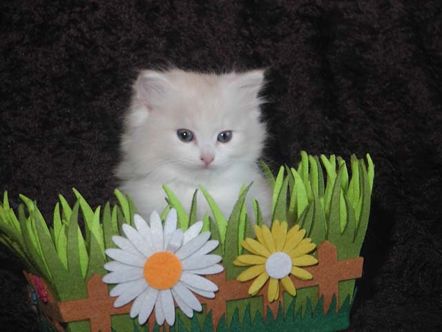 Oliver am 19.05.2013