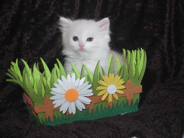 Oscar am 19.05.2013
