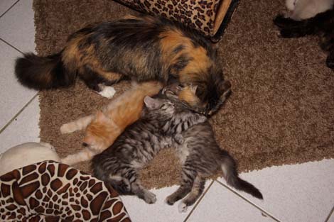 Q2-Jungs mit Mama Kashija am 18.5.2014