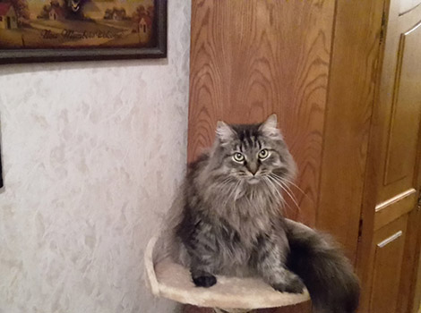 Sergeij am 27.12.2015