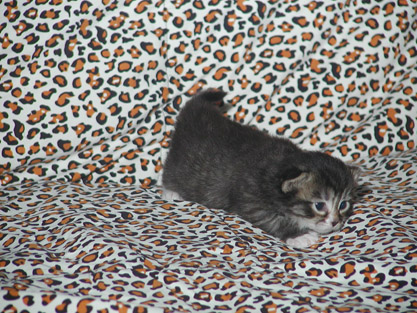 Smilla am 31.05.2008