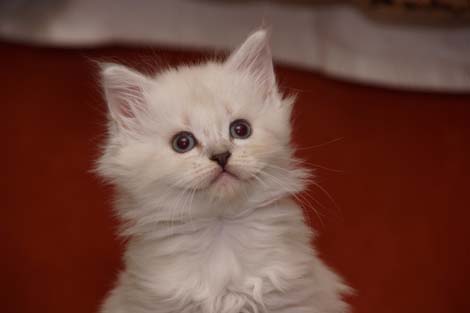 Sally am 28.6.2014