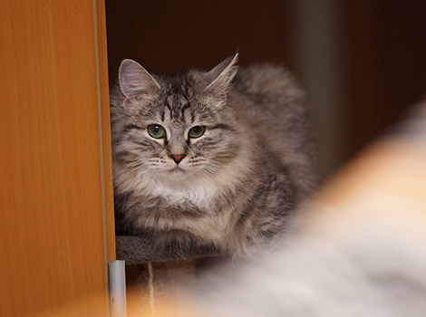 Tom am 3.4.2015
