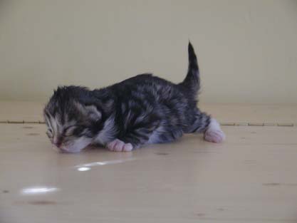 Wasja am 10.04.2009